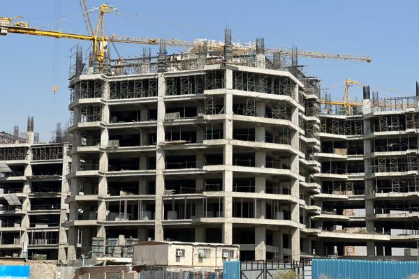 پیش فروش پروژه نخل تعاونی شمیم رحمت