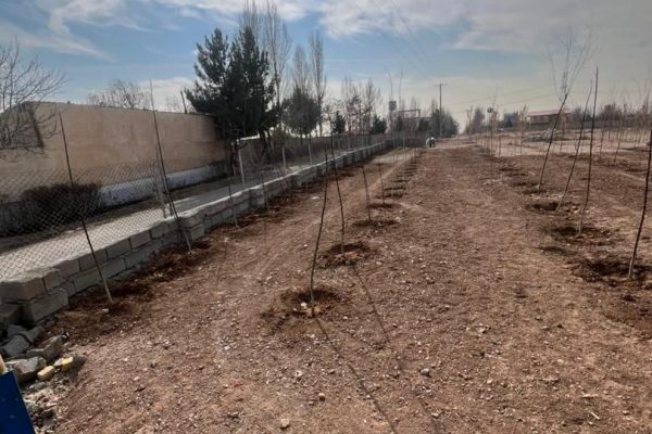 شرکت تعاونی عمران آفرین کیان